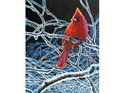 Paint By Number Kit 11 X14 Ice Cardinal