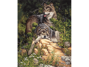 Paint By Number Kit 16 X20 Wild Free Wolves