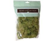 Preserved Reindeer Moss 108.5 Cubic Inches Spring Green