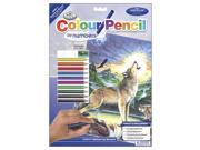 Color Pencil By Number Kit 8.75 X11.75 Wolf At Night