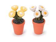Timeless Miniatures Potted Daisies 2 Pkg