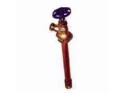 Arrowhead Brass 456 12BCLD 12 Inch FrostProof Hydrant Frost Free Mip Sw