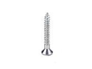 Western States 54089 1/4X2-3/4 Masonry Screw 1-Lb Flat Head - Phillips All Weath Western States 54089 1/4X2-3/4 Masonry Screw 1-Lb Flat Head - Phillips All Weath