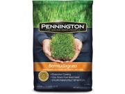 SEED GRASS BERMUDA 5LB PENNINGTON SEED Grass Seed 100086857 Medium to Dark Green