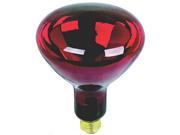 Red 75 Watt Light Bulb Feit Electric Light Bulbs 75R30 R 017801002331