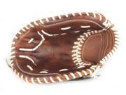 Easton A130187RHT Core Softball Glove 20 inch Right Hand Thrower