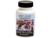 Fish Mox Amoxicillin 250mg 30 capsules