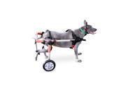 Dog Wheelchair For Medium Dogs 26 69 lbs Pink By Walkin Wheels