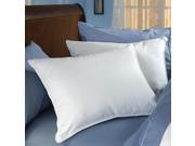 SPRING AIRDOUBLE COMFORT PILLOW Super Standard Or King