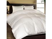 1000 TC Egyptian Cotton Cover European White Down Comforter