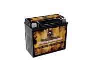 YTX20HL-BS UTV Battery for Kawasaki 620cc KAF620 Mule 3010 4x4 2003 YTX20HL-BS UTV Battery for Kawasaki 620cc KAF620 Mule 3010 4x4 2003