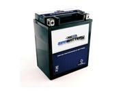 YTX14AHL BS Snowmobile Battery for Arctic Cat EXT 1994