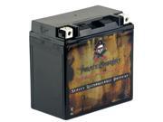 YTX14-BS Motorcycle Battery for Buell 500cc Blast 2004 YTX14-BS Motorcycle Battery for Buell 500cc Blast 2004