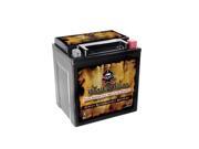 YTX30L-BS Battery for BRP (SEA-DOO) 1500 RXT 2013 YTX30L-BS Battery for BRP (SEA-DOO) 1500 RXT 2013