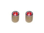 National Guard Army Military Tire Rim Wheel Valve Stem Caps Motorcycle Bike Bicycle Gold