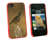 California Quail Bird Snap On Hard Protective Case for Apple iPhone 4 4S Red