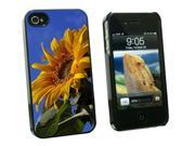 Sunflower Against Blue Sky Snap On Hard Protective Case for Apple iPhone 4 4S Black