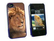 Male Lion Snap On Hard Protective Case for Apple iPhone 4 4S Blue