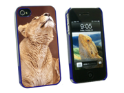 Female Lion Snap On Hard Protective Case for Apple iPhone 4 4S Blue