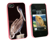 Pelican Bird Snap On Hard Protective Case for Apple iPhone 4 4S Pink