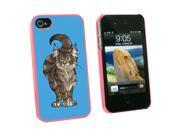Maine Coon Cat On Blue Snap On Hard Protective Case for Apple iPhone 4 4S Pink