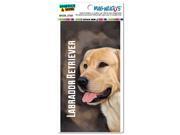 Yellow Labrador Retriever Brown Dog Pet MAG NEATO S™ Automotive Car Refrigerator Locker Vinyl Magnet