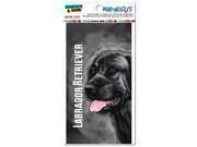 Black Labrador Retriever Gray Grey Dog Pet MAG NEATO S™ Automotive Car Refrigerator Locker Vinyl Magnet