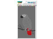 African Gray Parrot Bird MAG NEATO S™ Automotive Car Refrigerator Locker Vinyl Magnet