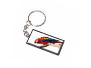 Scarlet Macaw Bird Parrot Keychain Key Chain Ring