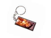 Antelope Slot Canyons Arizona Keychain Key Chain Ring