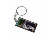 Blue and Yellow Macaw Parrot Ara Bird Keychain Key Chain Ring