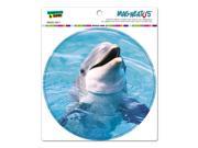 Dolphin Water Circle MAG NEATO S™ Automotive Car Refrigerator Locker Vinyl Magnet