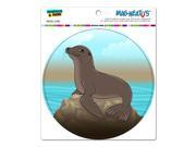 Sea Lion on Rock - Seal Circle MAG-NEATO'Sâ„¢ Automotive Car Refrigerator Locker Vinyl Magnet Sea Lion on Rock - Seal Circle MAG-NEATO'Sâ„¢ Automotive Car Refrigerator Locker Vinyl Magnet