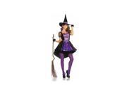 Womens Witch Costume Halloween Purple and Black Dress and Hat