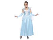 Classic Cinderella Plus size Women Costume