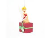 Disney Hallmark Tinkerbell Present Peter Pan Christmas Tree Ornament