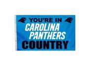 Carolina Panthers 94128B