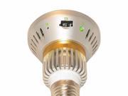 Decoy Light Bulb Surveillance DV Camera w Motion Detect Nightvision
