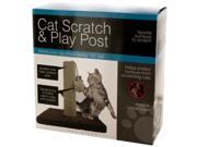 Cat Scratch Play Post