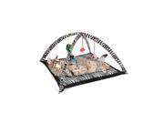 Zebra Print Cat Play Tent with Dangle Toys Case Pack 1