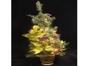 31 Lime Green Poinsettia Pre Lit Decorated Christmas Tree Clear Lights
