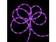 150 Commericial Grade Purple LED Indoor Outdoor Christmas Rope Lights on a Spool
