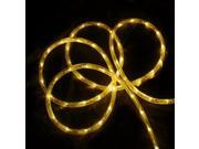 18 Yellow LED Indoor Outdoor Christmas Rope Lights 2 Bulb Spacing