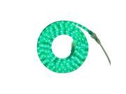 12 Green LED Indoor Outdoor Christmas Rope Lights