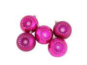 5ct Shiny and Matte Red Raspberry Retro Reflector Shatterproof Christmas Ball Ornaments 3.25 80mm