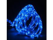 100 Commercial Blue LED Indoor Outdoor Christmas Linear Tape Lighting