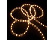 18 Clear Indoor Outdoor Christmas Rope Lights 1 Bulb Spacing