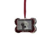 3 Regal Shiny Silver Plated Red Best DOG Bone Picture Ornament with European Crystals