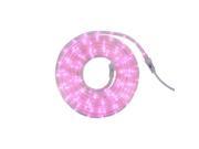 12 Pink LED Indoor Outdoor Christmas Rope Lights
