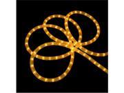 102 Gold Indoor Outdoor Christmas Rope Lights
